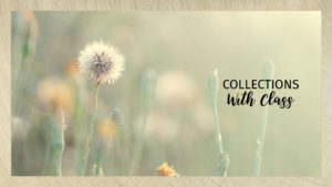 Image of dandelions with text that reads collections with classs