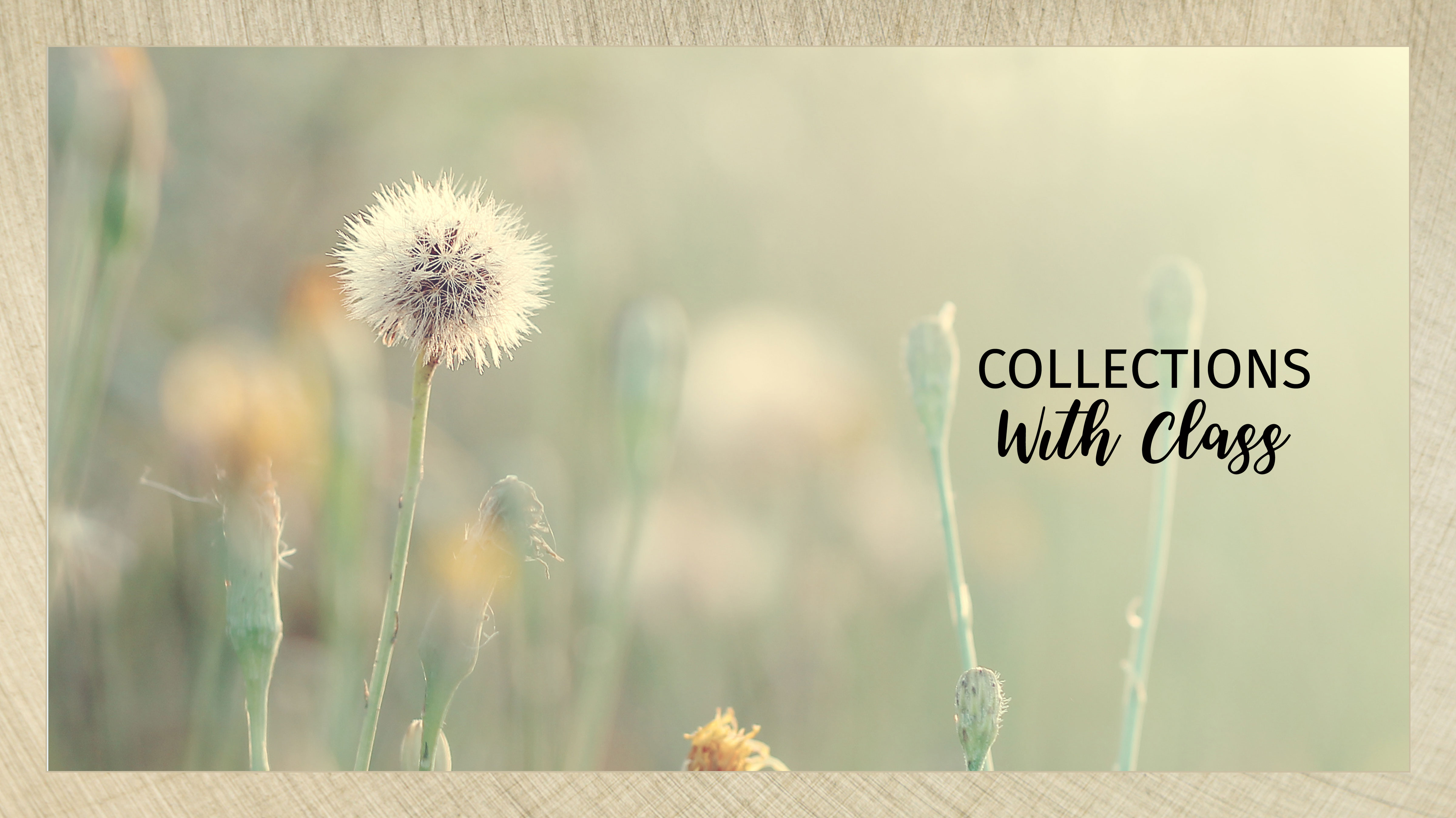 Image of dandelions with text that reads collections with classs