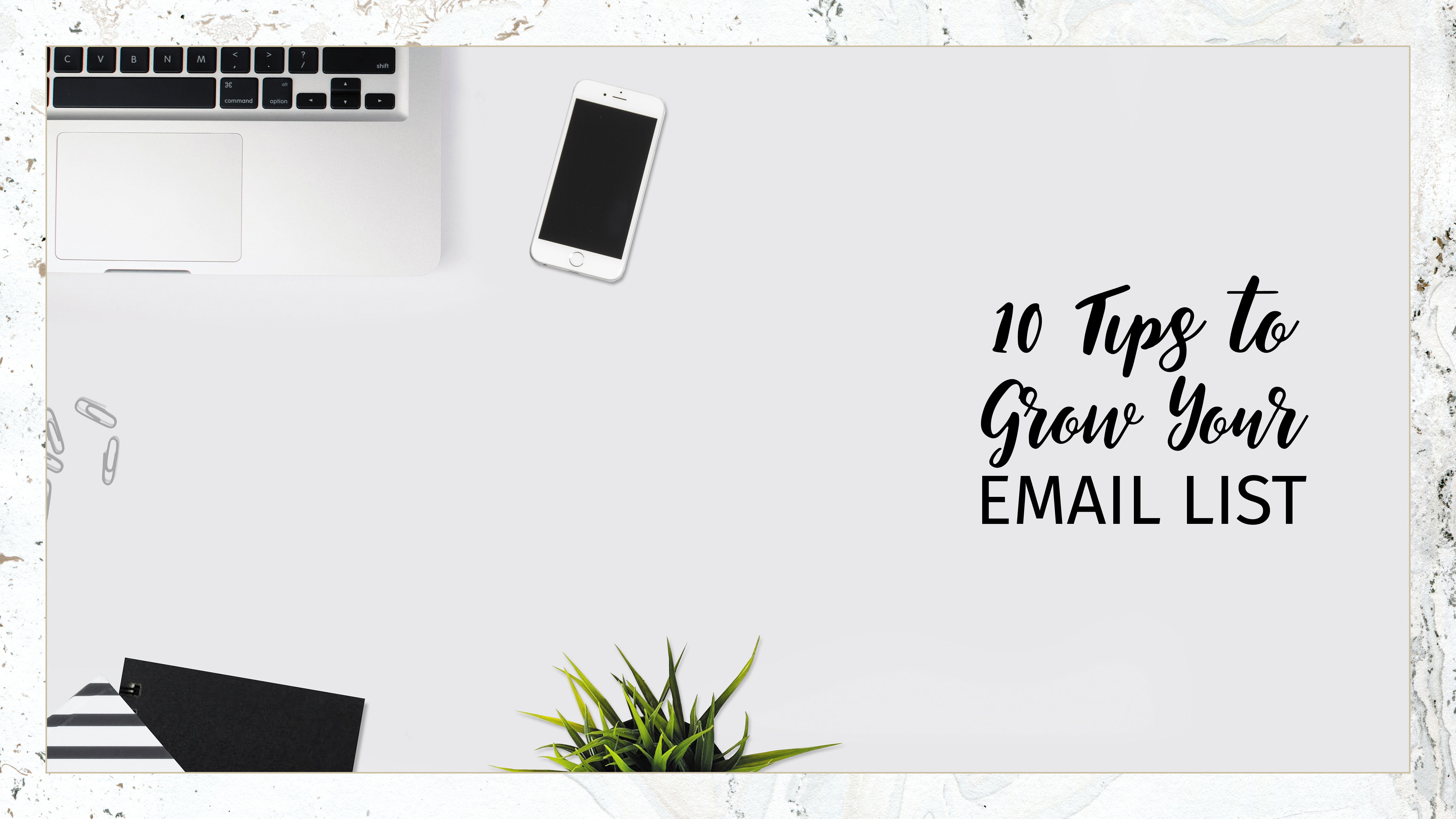 Plant, phone and computer on a white desktop with text - 10 Tips to Grow Your Email List