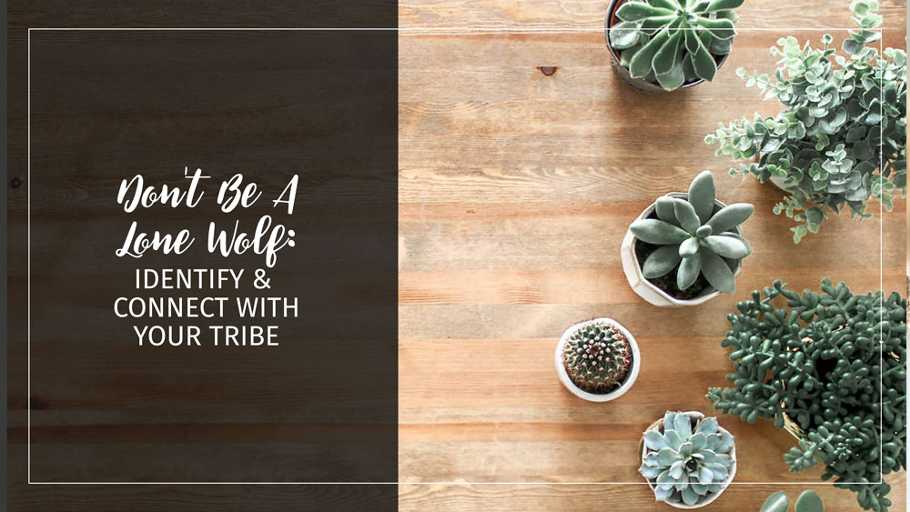 Connect With Your Tribe Text: Don't Be A Lone Wolf: Identify and Connect With Your Tribe Background: Succulent cactii on wooden table, overhead view